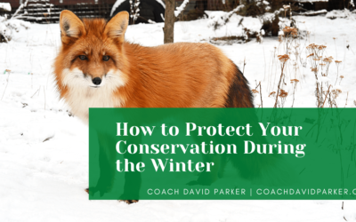How to Protect Your Conservation During the Winter