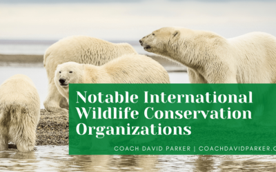 Notable International Wildlife Conservation Organizations