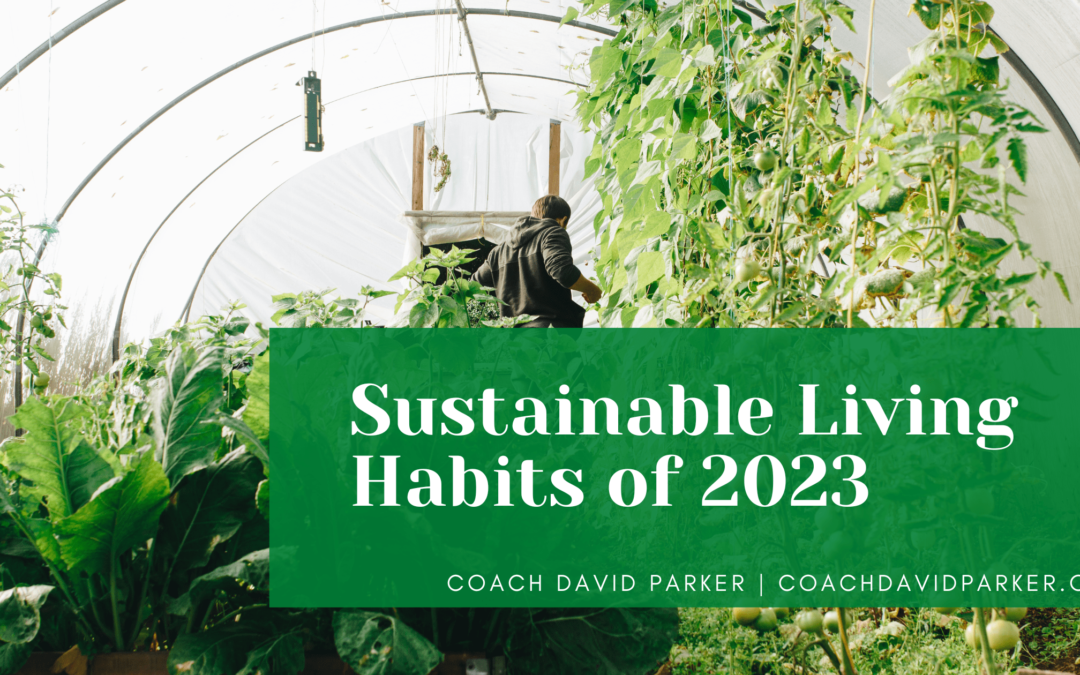 Sustainable Living Habits of 2023