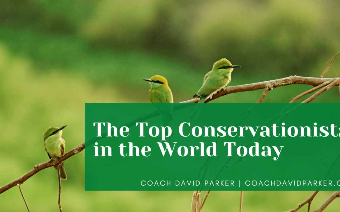 The Top Conservationists in the World Today