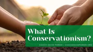 What Is Conservationism